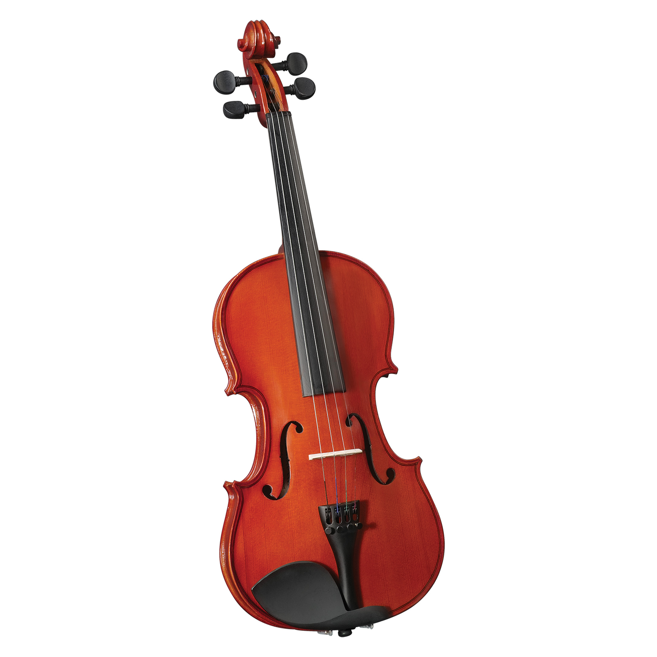 Violín acústico parrot